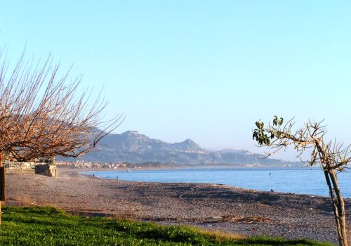 MINOLTA DIGITAL CAMERA