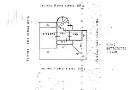 1548301187.jpg