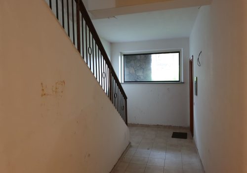 1583126489.jpg