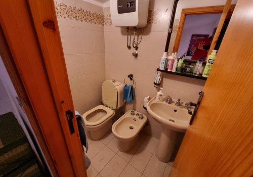 1692387235.jpg