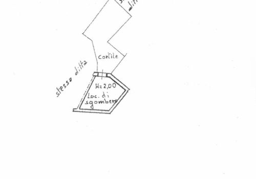 CCF_001930