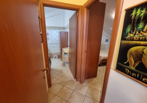 ae472be79a014c75821b2d177daba04a